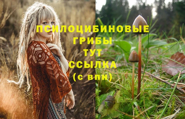 кокаин премиум Рославль