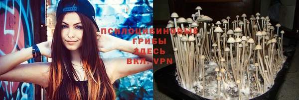 соль ск Верея