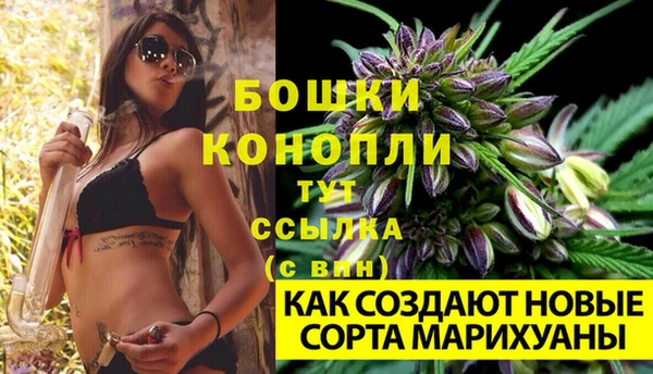 соль ск Верея
